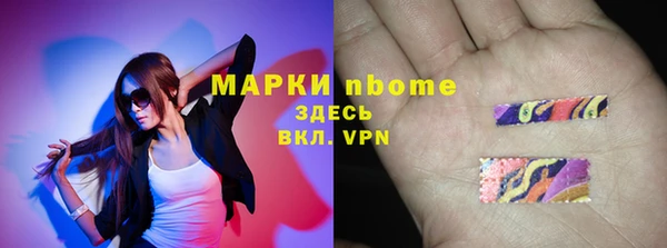 индика Алзамай