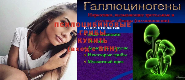 индика Алзамай